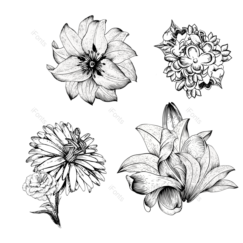 黑白图片,植物元素,PNG,免抠素材
